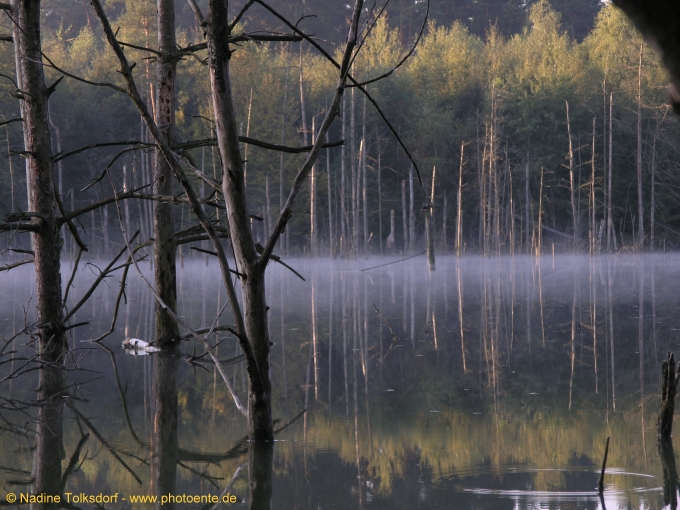 mystischer See