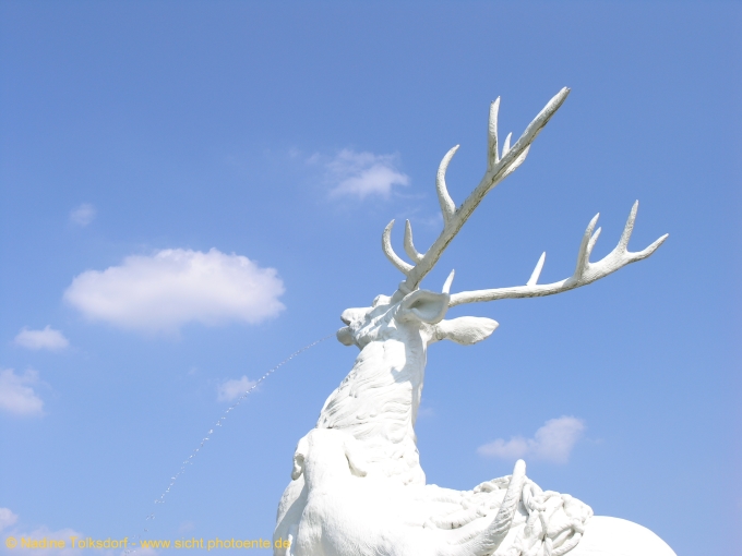 Schwetzinger Schloßgarten - Hirsch