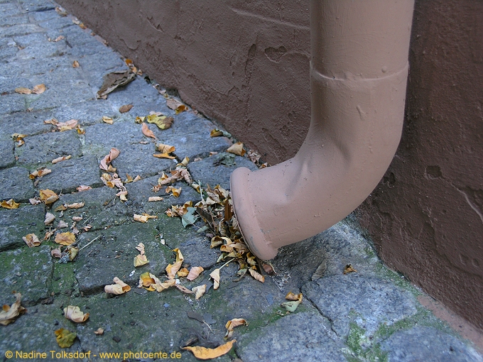 Herbst