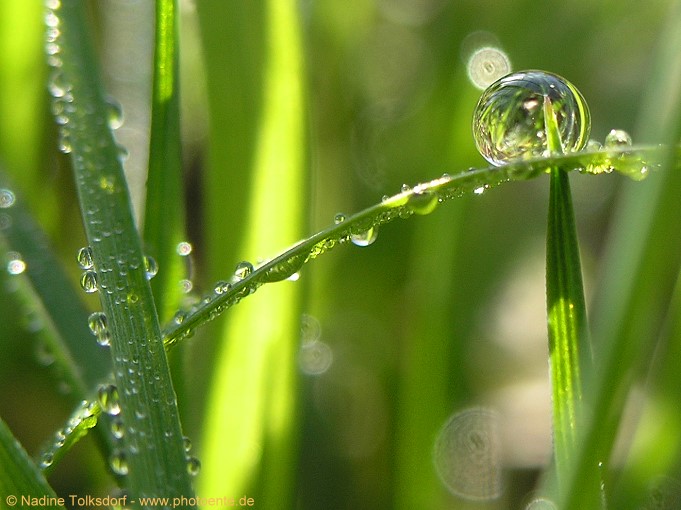 Wassertropfen