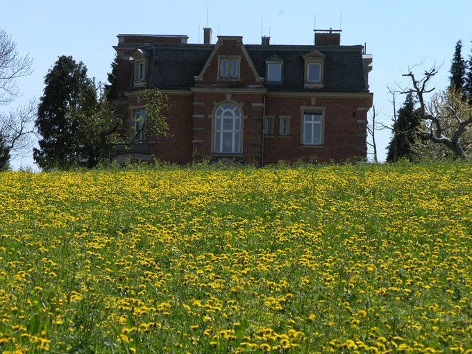gelbe Aussicht