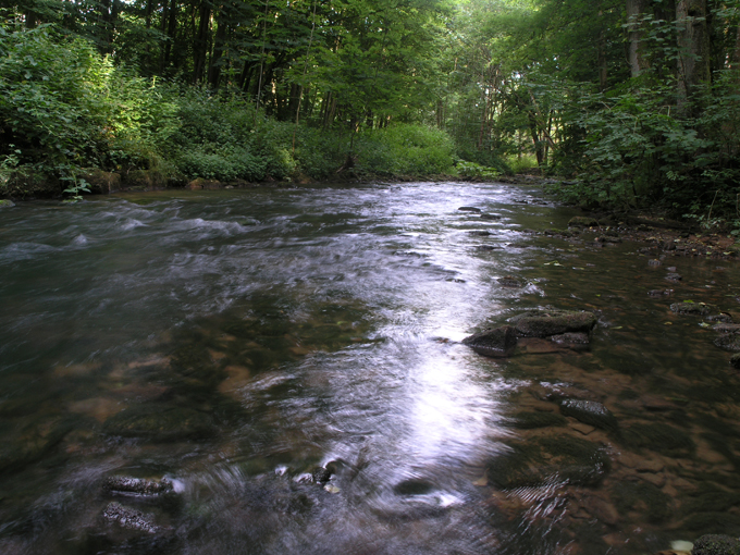 Wasserlauf